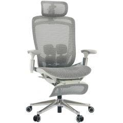 Cadeira de Escritório Comfy Aurion Cinza Mesh Cinza, Braço 3D, Mecanismo Wire e Lombar FlexCore 6