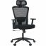 Cadeira de Escritório Ergonômica Comfy Stance Plus Tela Mesh Preta, Giratória e Relax