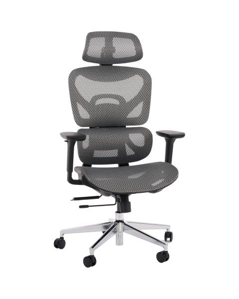 Cadeira de Escritório Comfy Aryan Tela Mesh Cinza, Braço 4D e Assento Deslizante - Relax