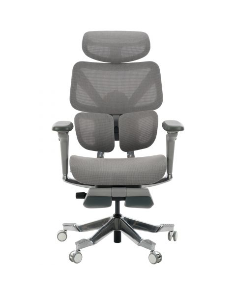 Cadeira de Escritório Comfy Zenith Aluminum Cinza, Braço 6D, Mecanismo Wire e Adaptive