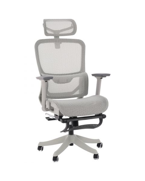 Cadeira de Escritório Flexy Axis Cinza Tela Mesh Cinza Base Giratória e Sistema Relax