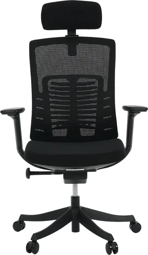 cadeira-de-escritorio-comfy-spine-2